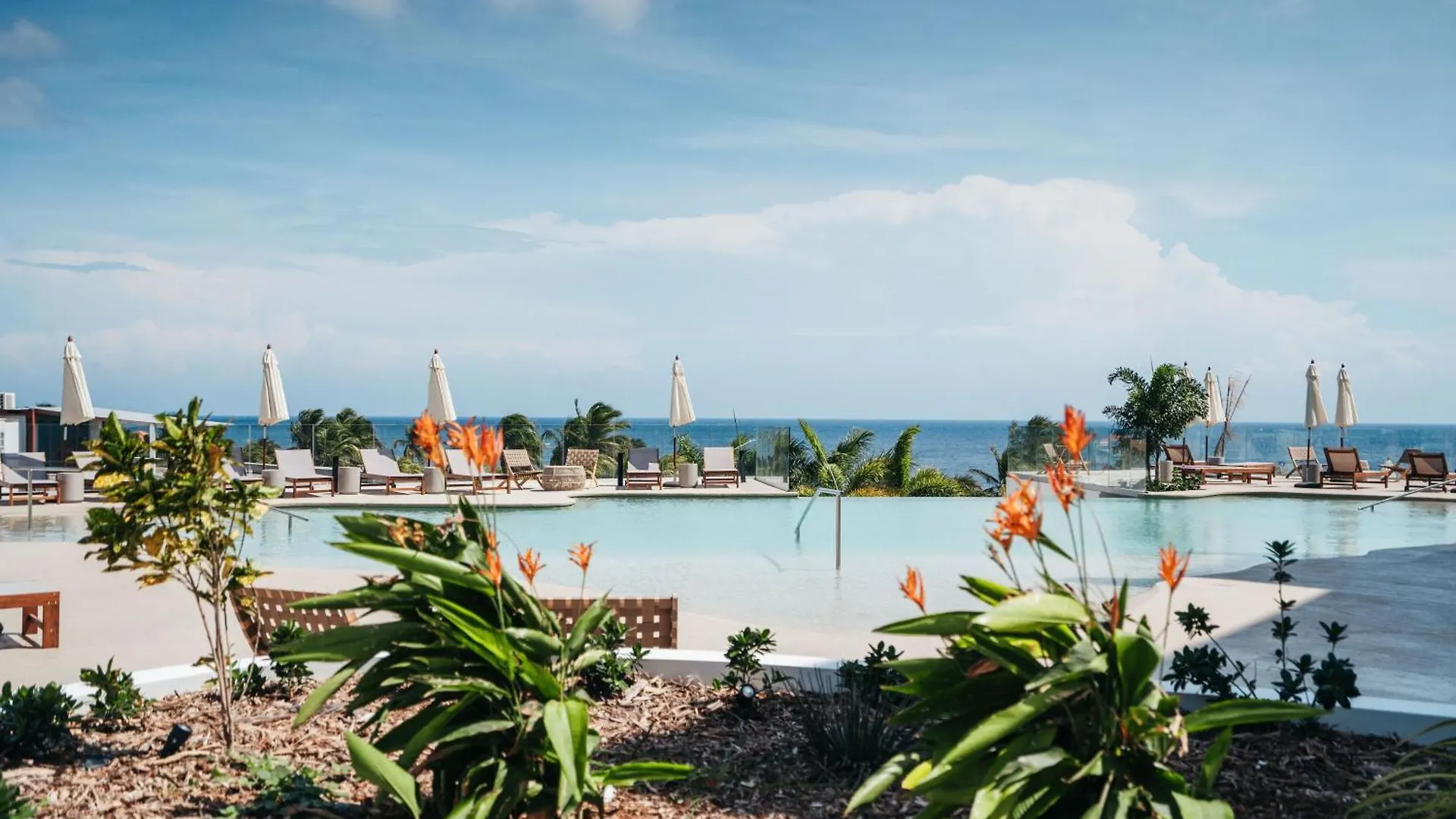 公寓 One Mambo Beach Residences By Bocobay Curacao 威廉斯塔德 库拉索